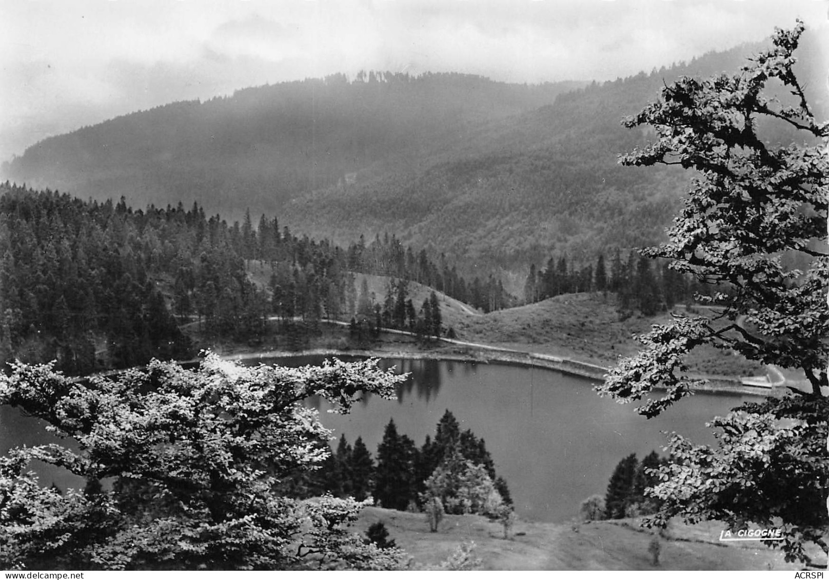 68  MUNSTER  Lac Vert Ou Lac De Soultzeren  Route Des Crêtes  N° 216 \MK3000 - Munster