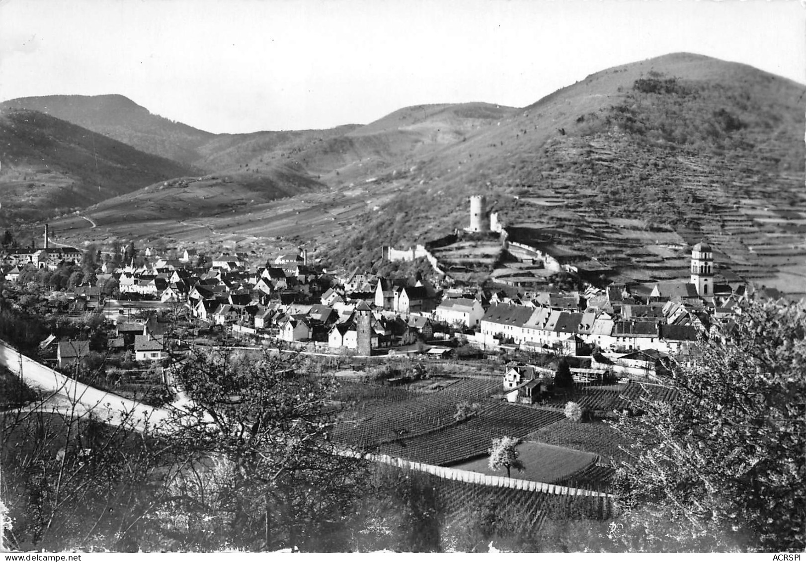 68  KAYSERSBERG Vue Générale Et La Chaine Des Vosges    N° 24 \MK3001 - Kaysersberg