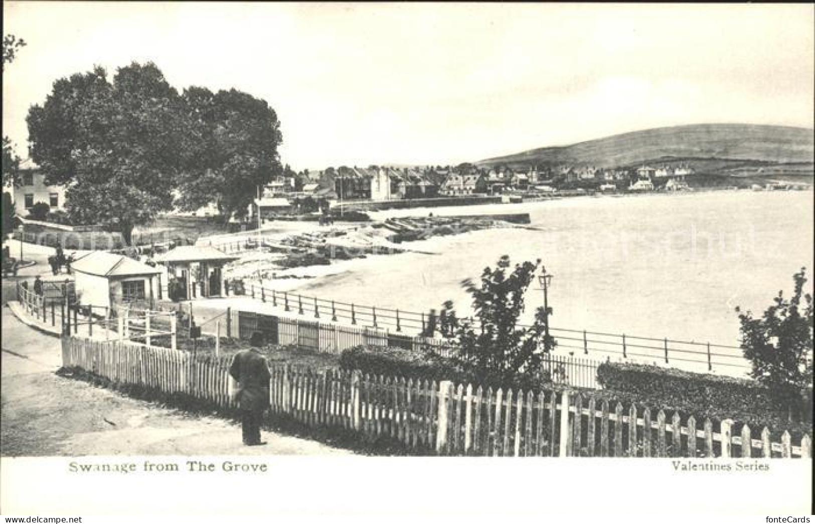 11923689 Swanage Purbeck Swanage The Grove Purbeck - Other & Unclassified