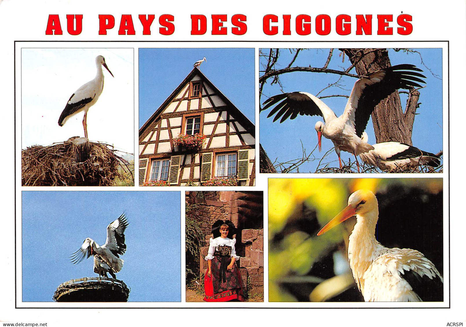 68  Les Cigognes Souvenir D' ALSACE Mulhouse Strasbourg Colmar Selestat  N° 44 \MK3001 - Mulhouse