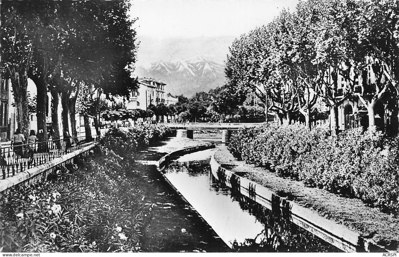 66  PERPIGNAN Les Quais De La Basse Et Le Canigou  N° 52 \MK3002 - Perpignan