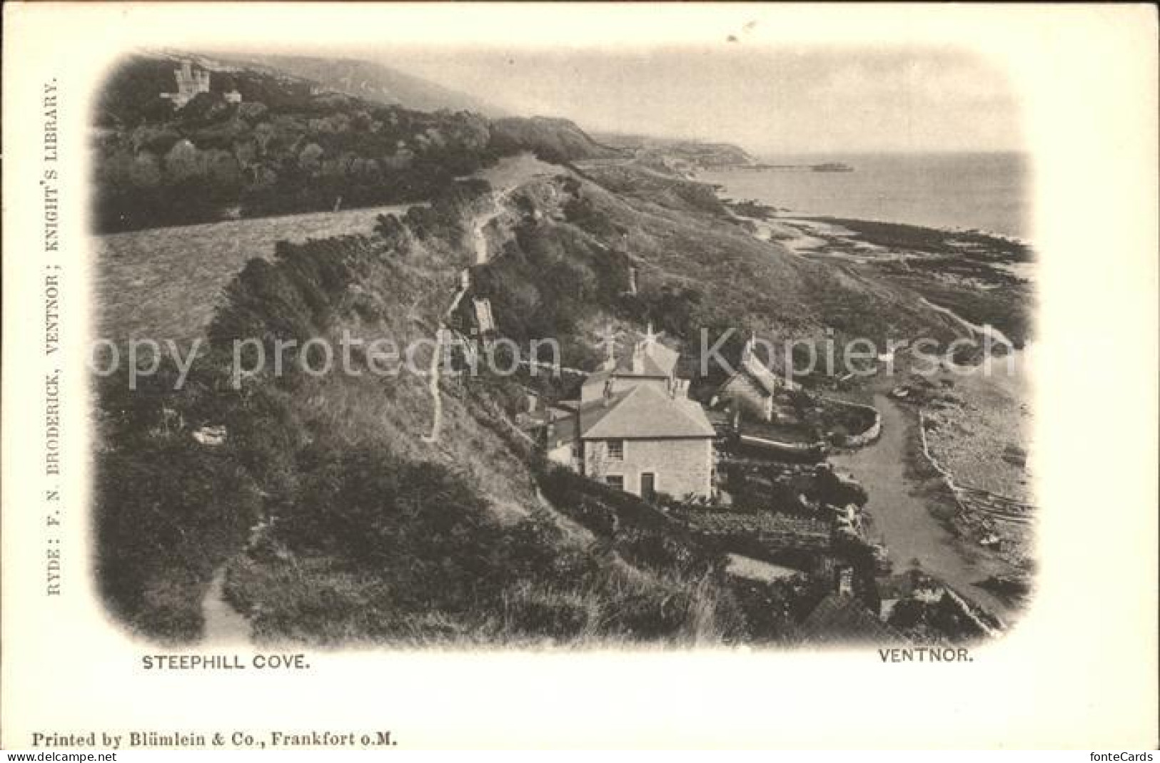 11923140 Ventnor Isle Of Wight Steephill Cove Shanklin - Otros & Sin Clasificación