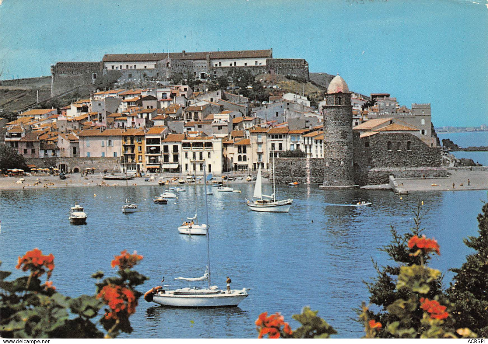 66   COLLIOURE  Le Port  Vue Générale  N° 94 \MK3002 - Collioure