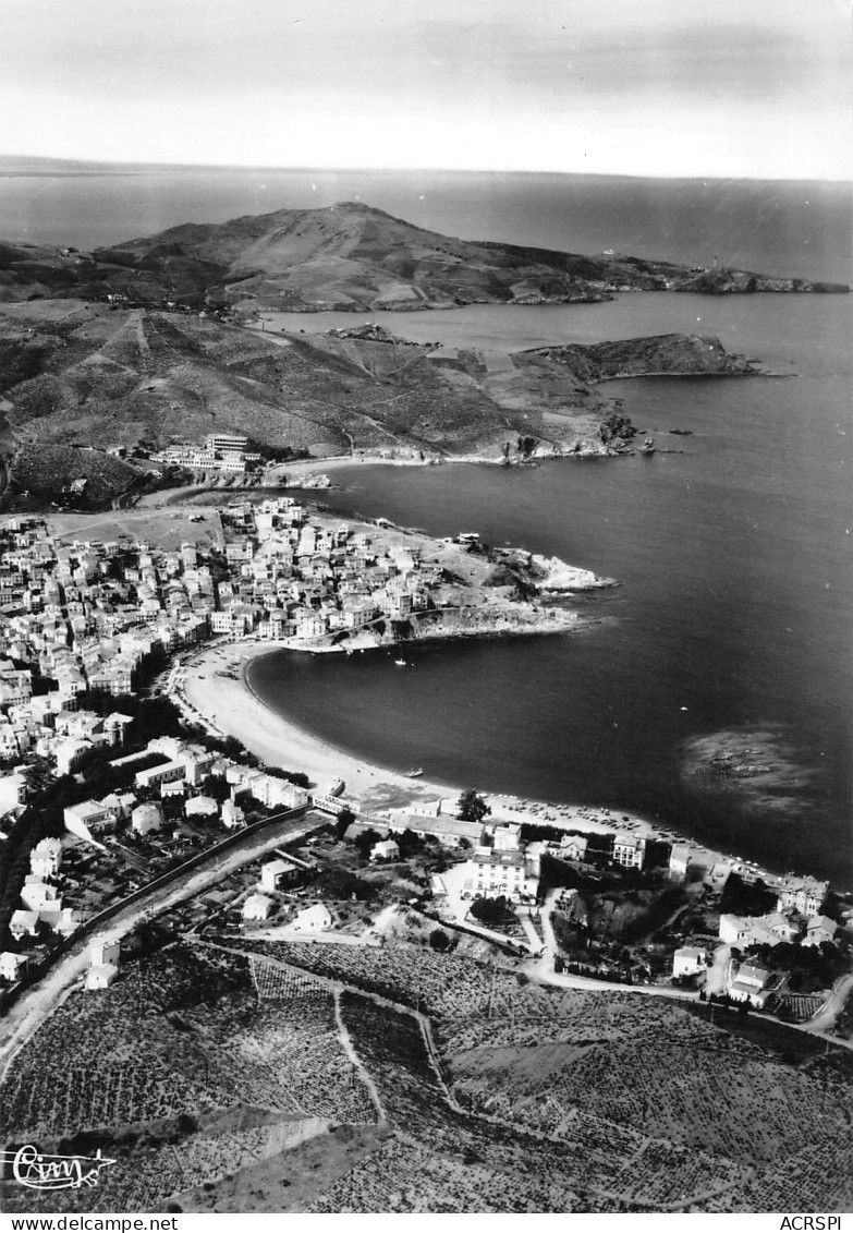 66  BANYULS SUR MER  Vue Générale Panoramique Aérienne Les 3 Caps  édition CIM   N° 113 \MK3002 - Banyuls Sur Mer