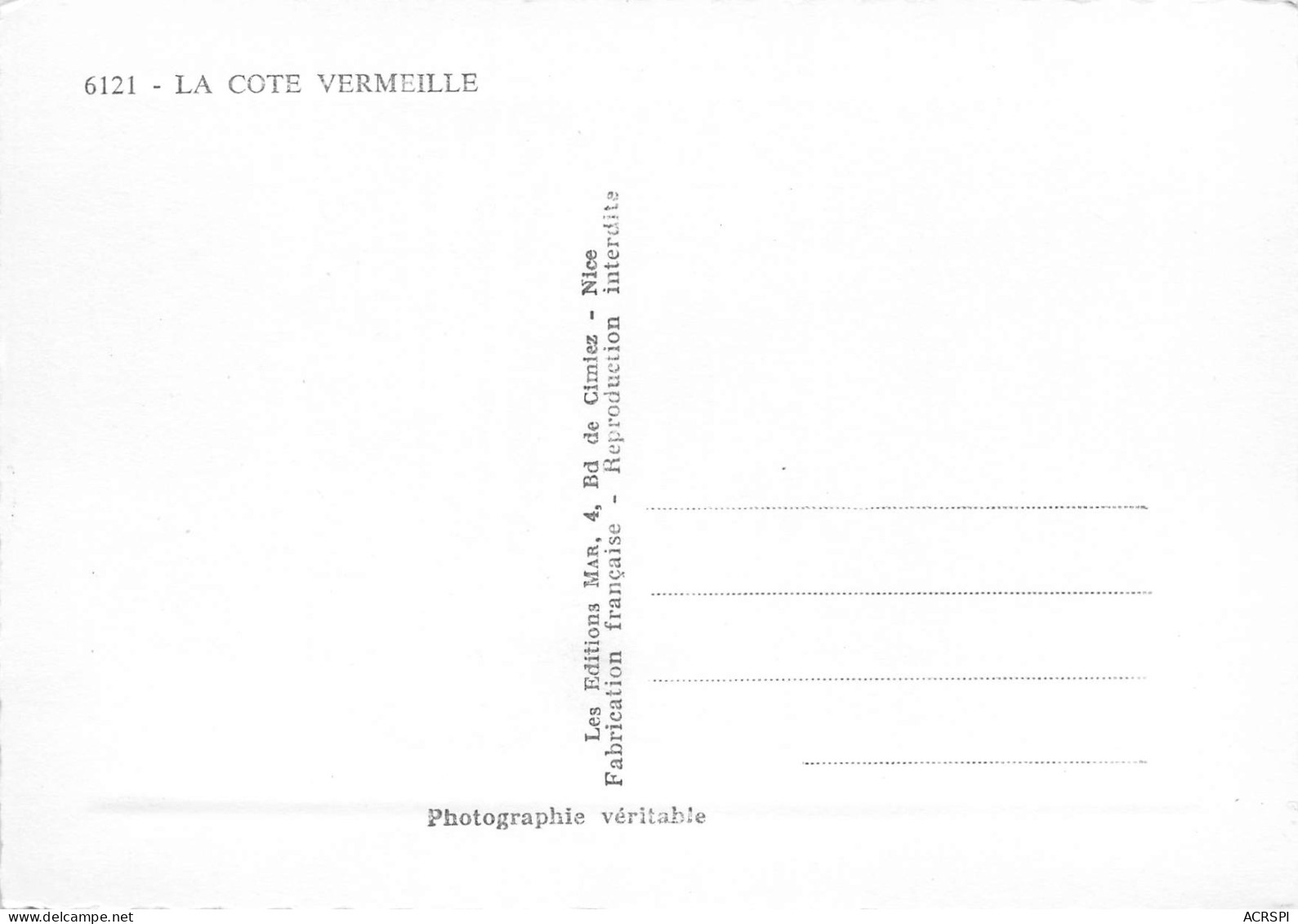 66  CERBERE Vue Générale Sur La Cote Vermeille  N° 145 \MK3002 - Cerbere