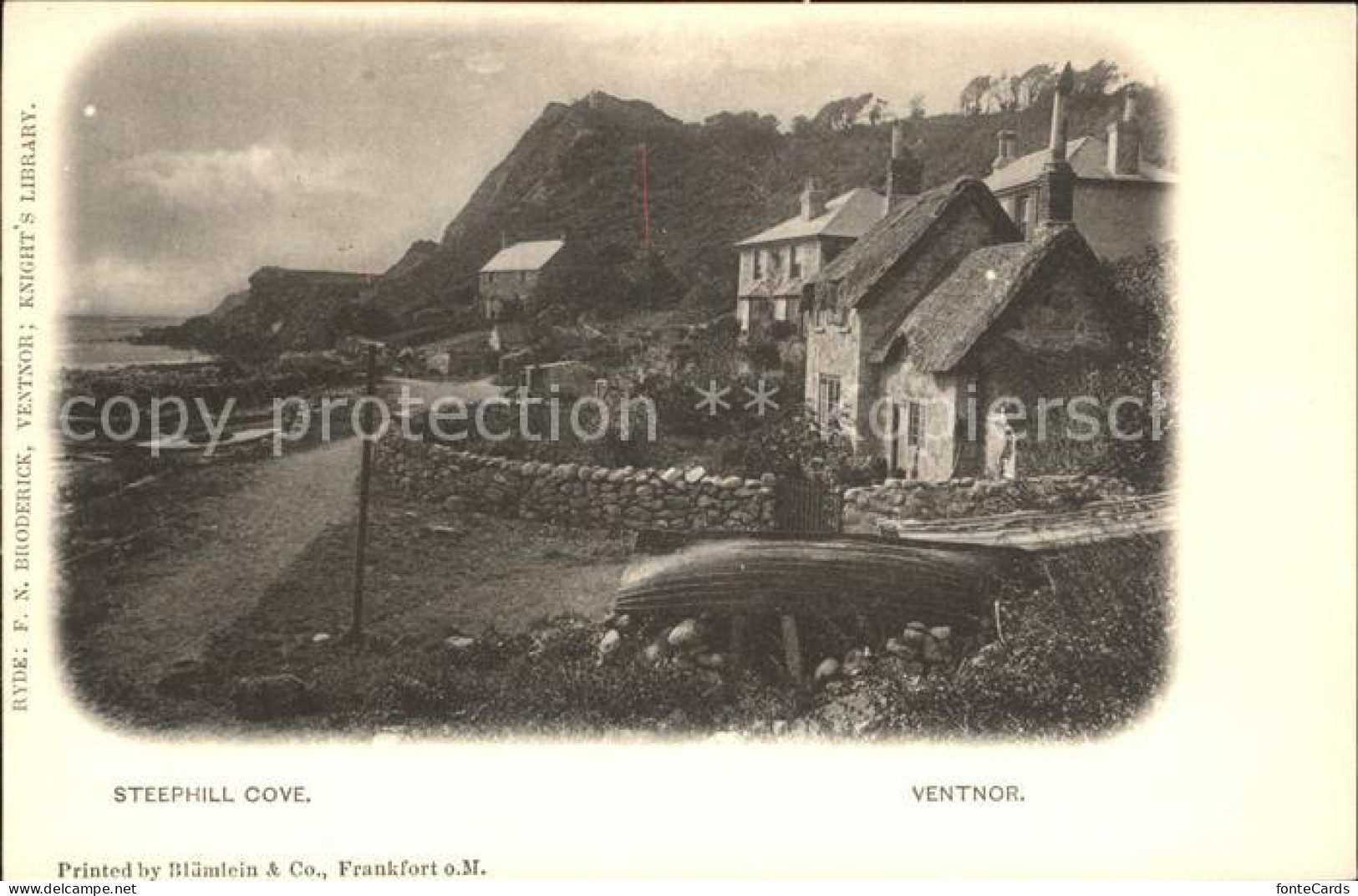 11923133 Ventnor Isle Of Wight Steephill Cove Shanklin - Sonstige & Ohne Zuordnung