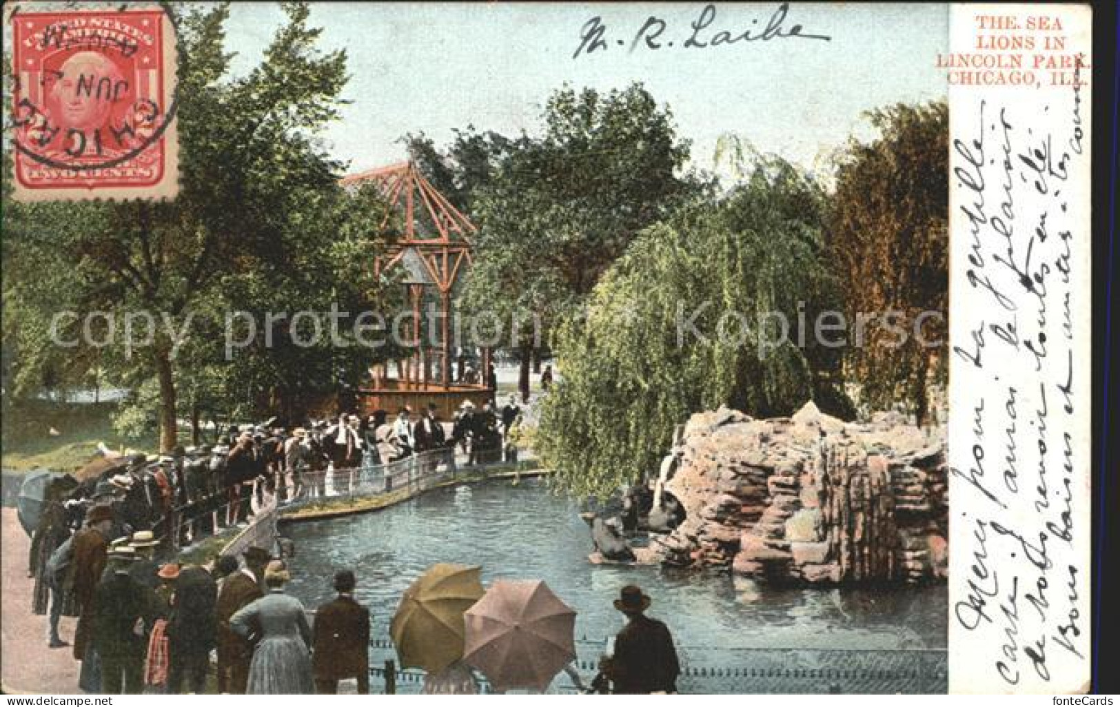 11922364 Chicago_Illinois Sea Lions Lincoln Park - Autres & Non Classés