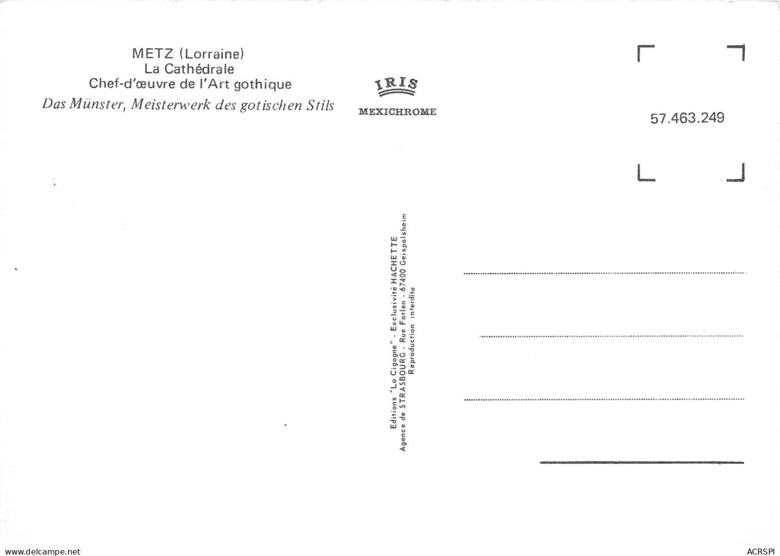 57  METZ  Cathédrale Saint Etienne  Chef D'oeuvre De L'art Gothique     N° 49 \MK3004 - Metz
