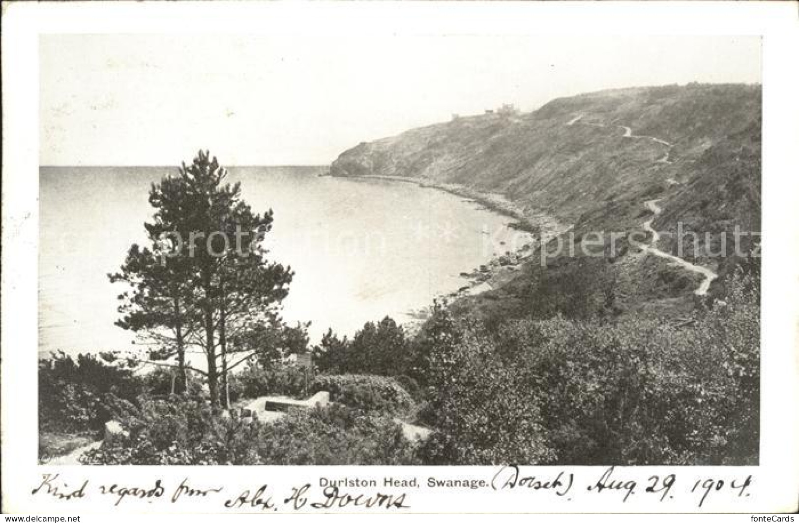 11922215 Swanage Purbeck Duriston Head Purbeck - Andere & Zonder Classificatie