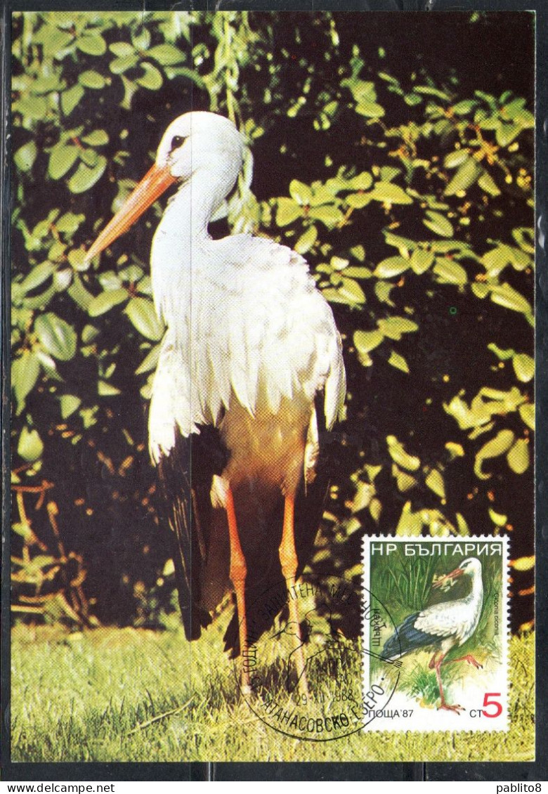 BULGARIA BULGARIE BULGARIEN 1988 DATED 1987 BIRDS FAUNA CICONIA CICOGNA BIRD 5s MAXI MAXIMUM CARD - FDC