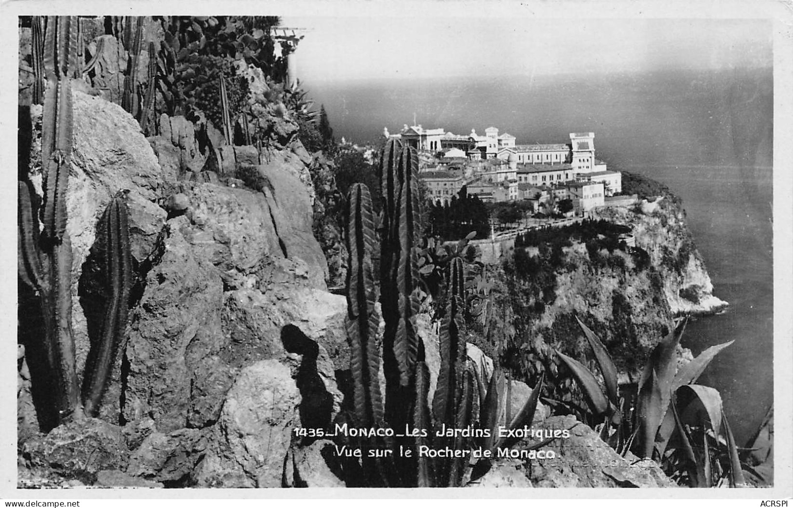 MONACO  MONTE CARLO Les Jardins Exotiques Vue Sur Le Rocher  N° 135 \MK3006 - Jardín Exótico