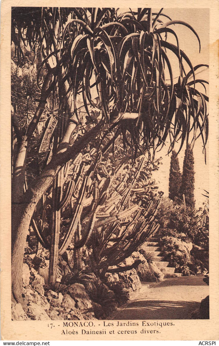 MONACO  Les Jardins Exotiques Aloes Dainesii Et Cereus Divers  N° 138 \MK3006 - Giardino Esotico