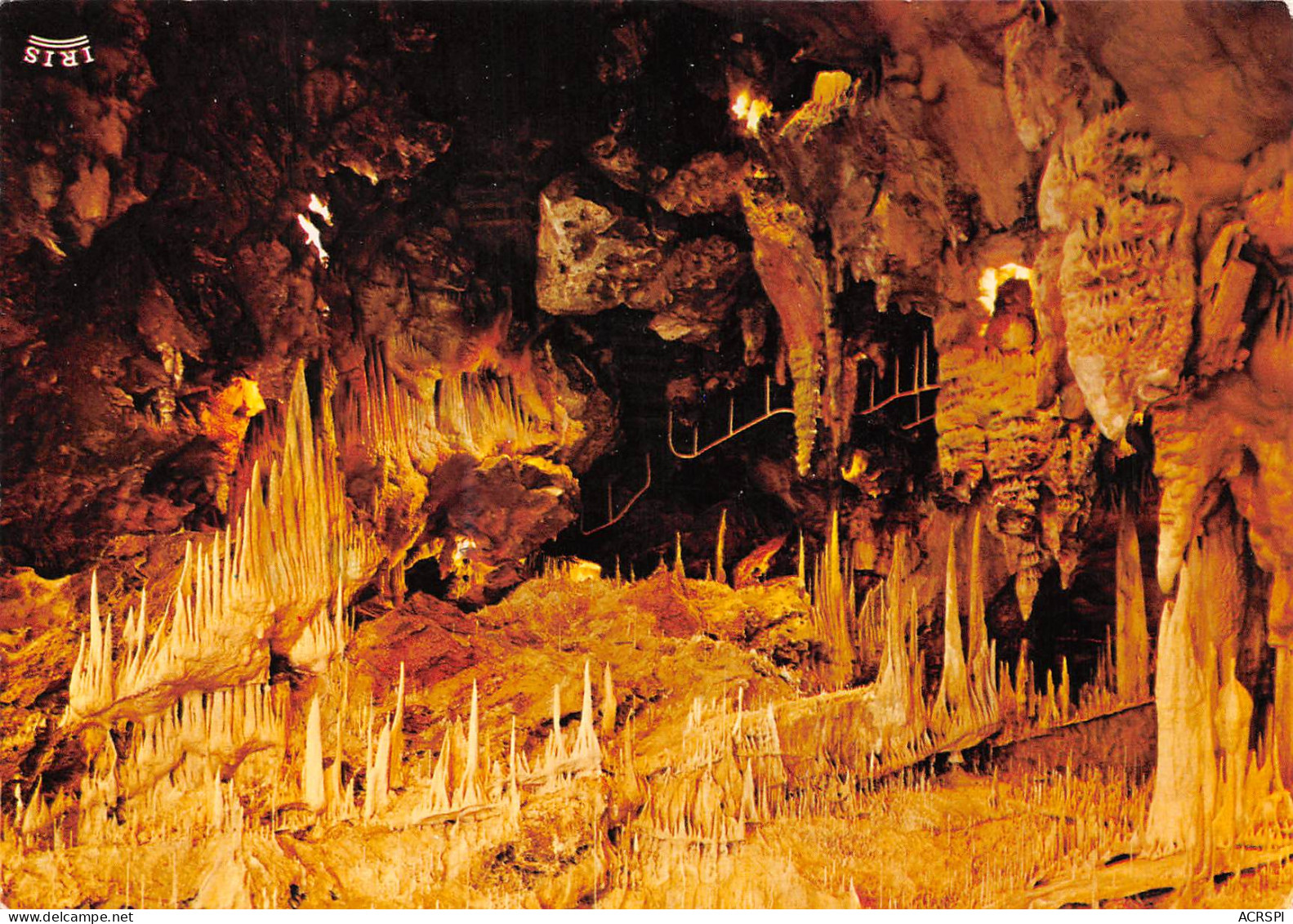 MONACO  Les Jardins Exotiques éla Grotte  N° 146 \MK3006 - Exotische Tuin