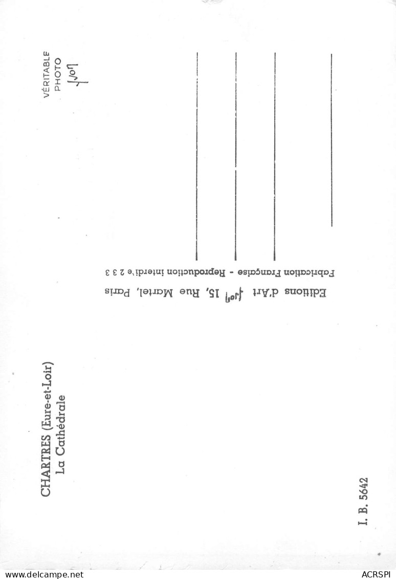 28  CHARTRES La Cathédrale Et Les Toits Des Maisons  N° 48 \MK3007 - Chartres