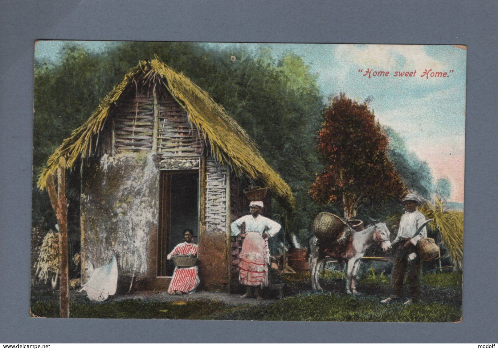 CPA - Jamaïque - "Home Sweet Home" - Colorisée - Circulée En 1918 - Jamaïque