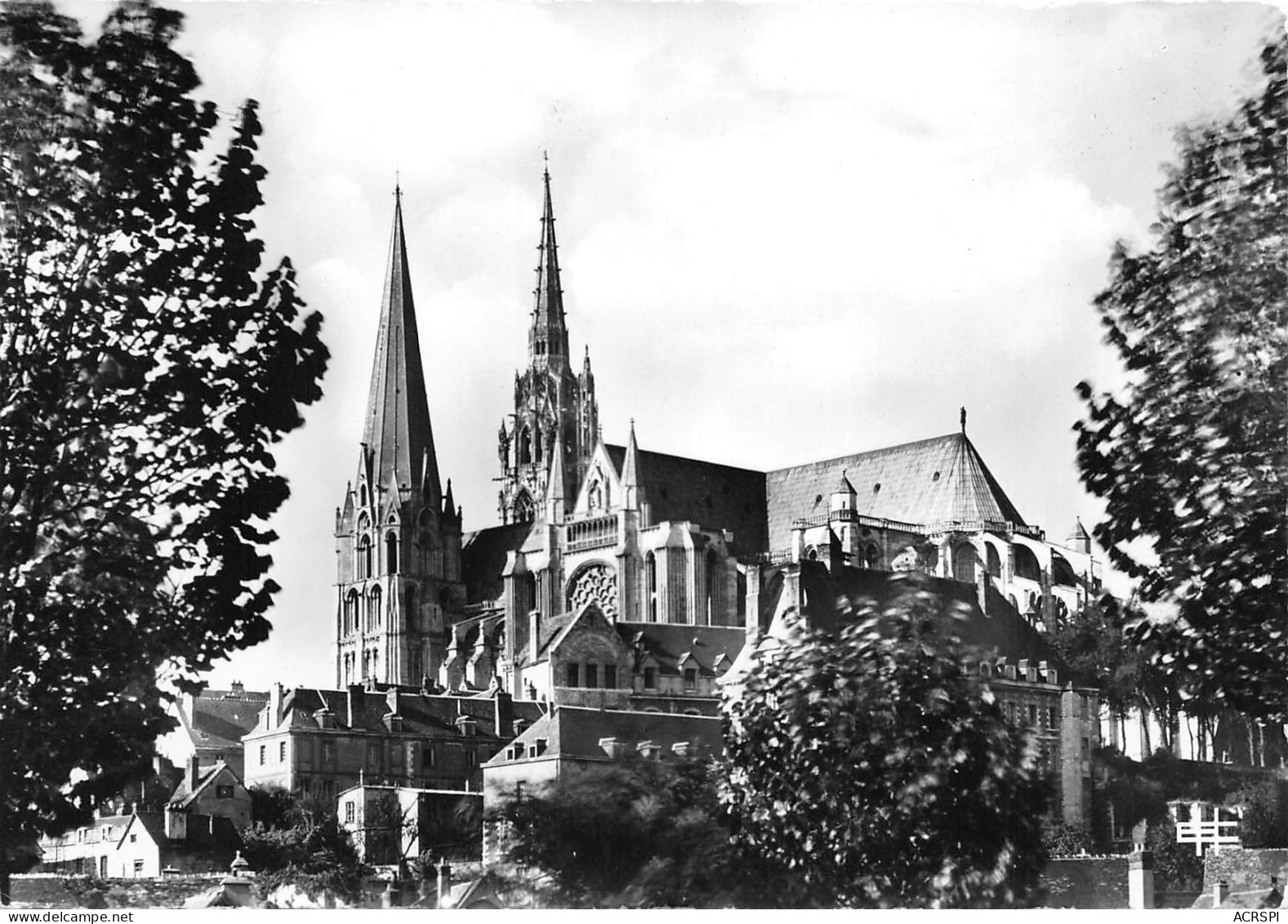 28  CHARTRES  La Cathédrale  N° 113 \MK3007 - Chartres