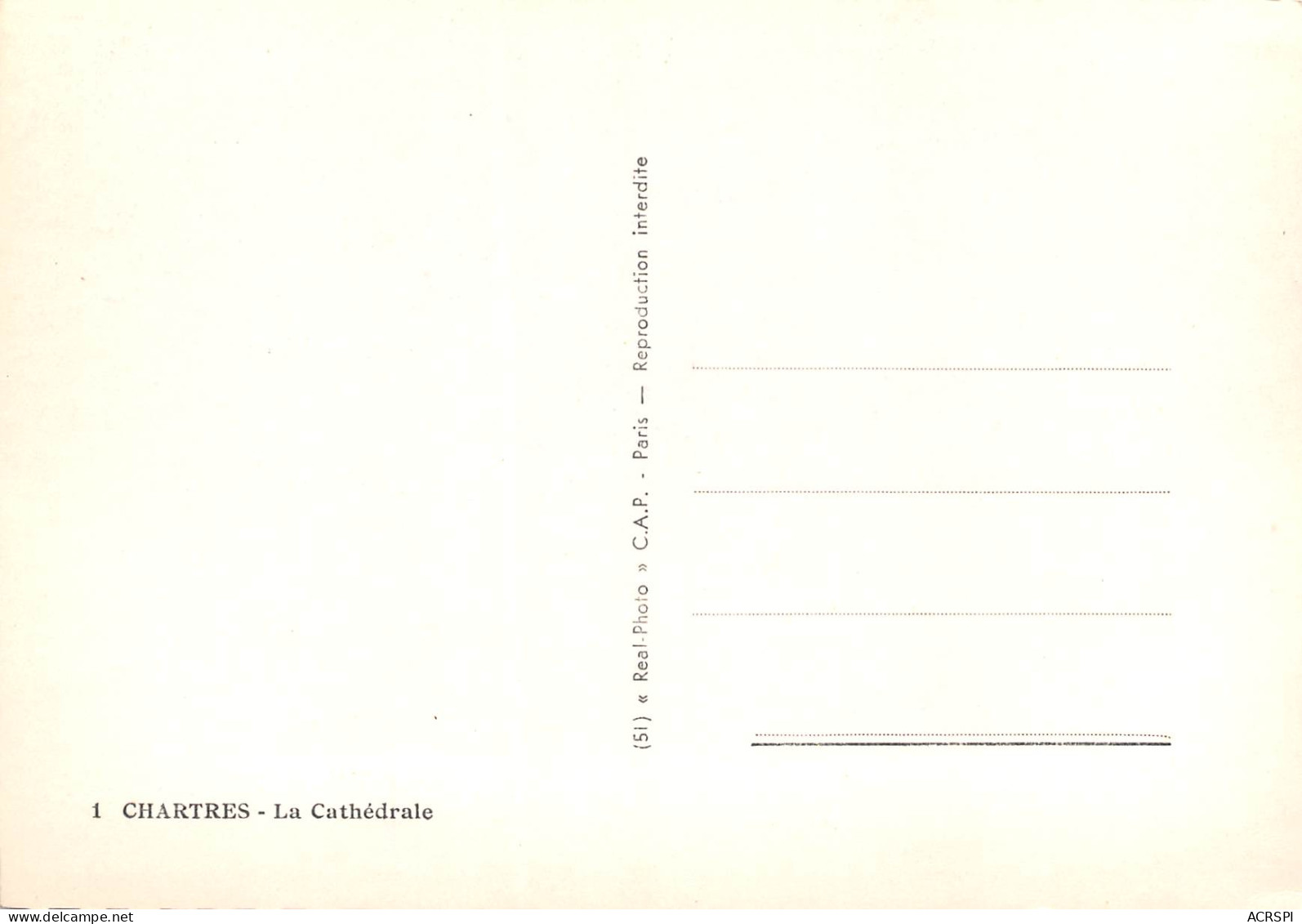 28  CHARTRES  Vue Sur La Cathédrale  édition C.A.P   N° 120 \MK3007 - Chartres