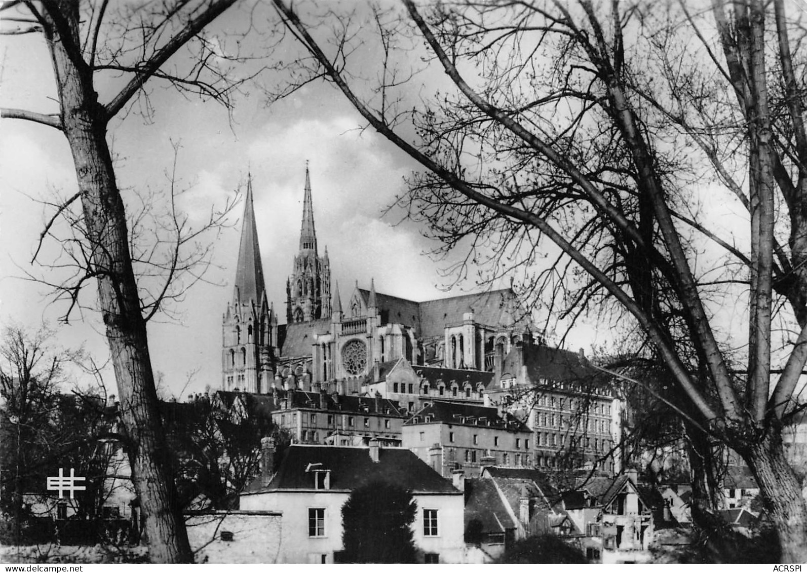 28  CHARTRES   La Cathédrale Derrière Les Arbres    N° 135 \MK3007 - Chartres