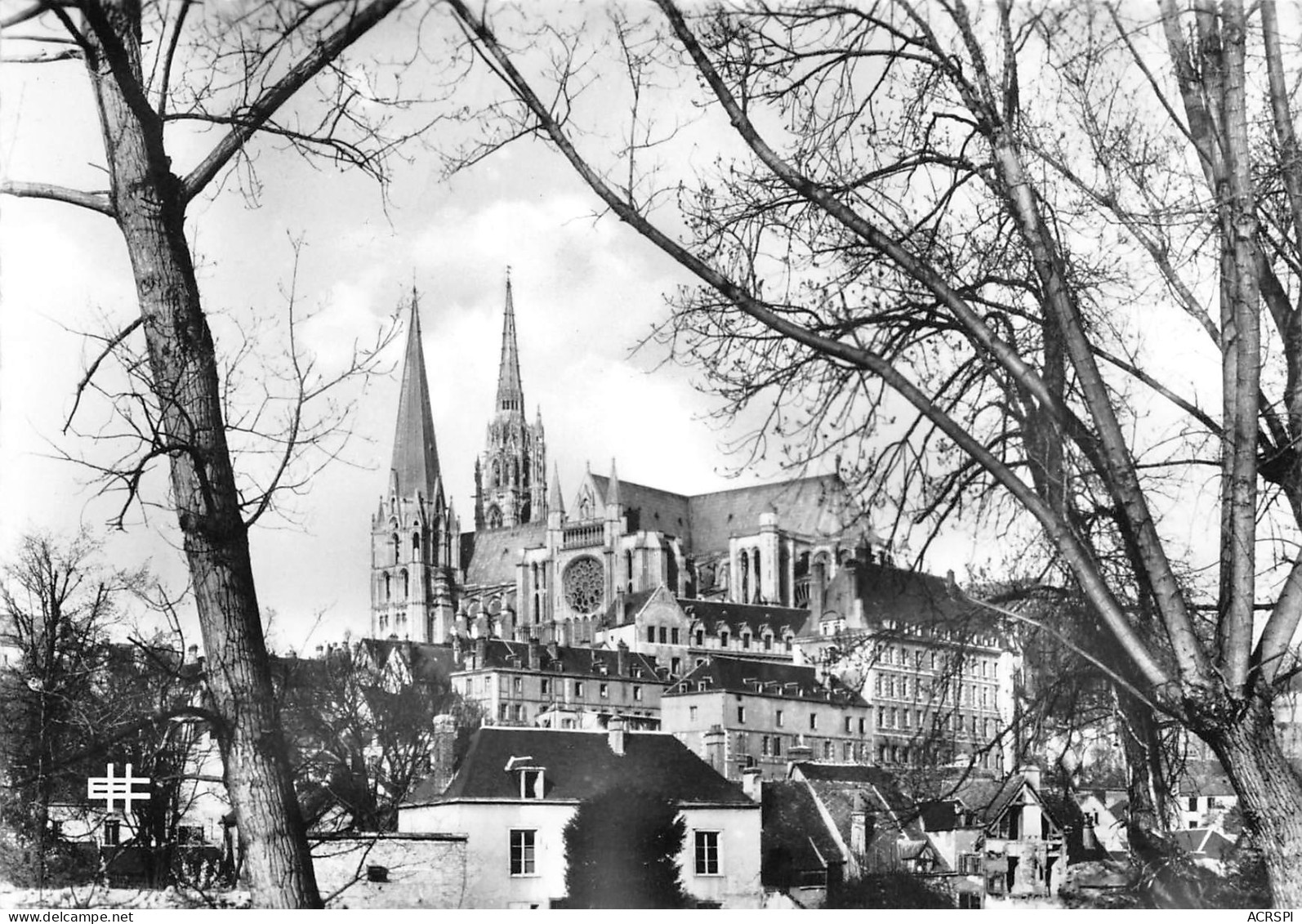 28  CHARTRES   La Cathédrale Derrière Les Arbres édition Houvet   N° 136 \MK3007 - Chartres