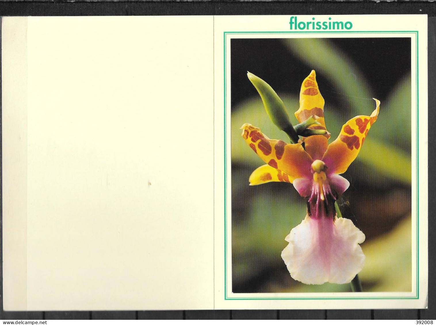 DIJON - 1993 - Hortissimo - 28 -  2 - 17 X 12  - Other & Unclassified