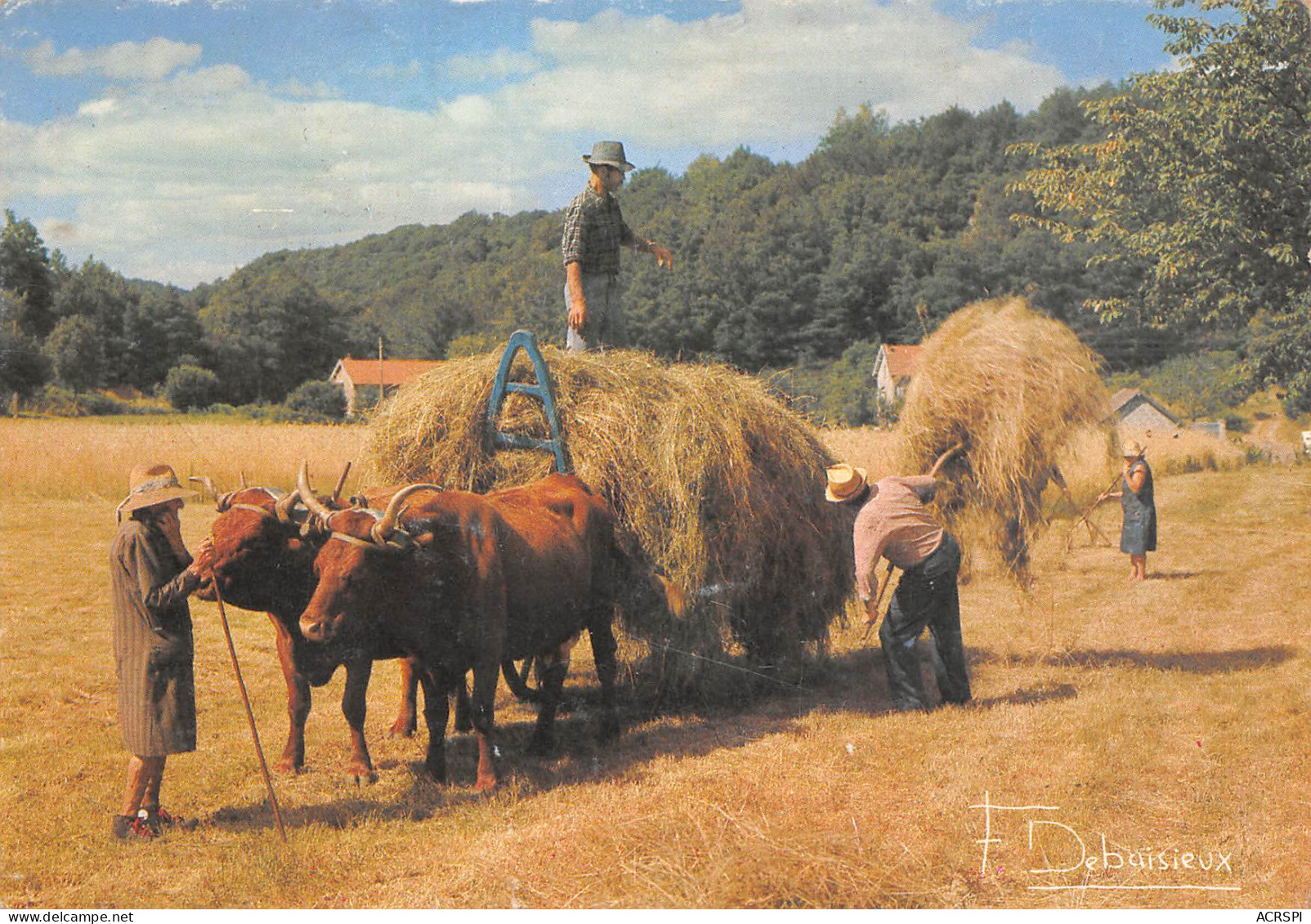 Attelage De Boeufs  Fannage Ramassages Du Foin  Dure Loi Des Champs Hésiode Phot DEBAISIEUX  N° 149 \MK3010 - Teams