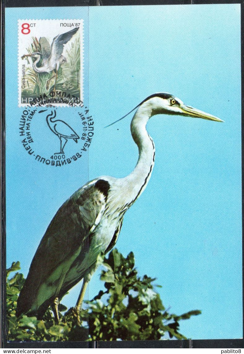 BULGARIA BULGARIE BULGARIEN 1988 DATED 1987 BIRDS FAUNA ARDEA CINEREA AIRONE CENERINO BIRD 8s MAXI MAXIMUM CARD - FDC