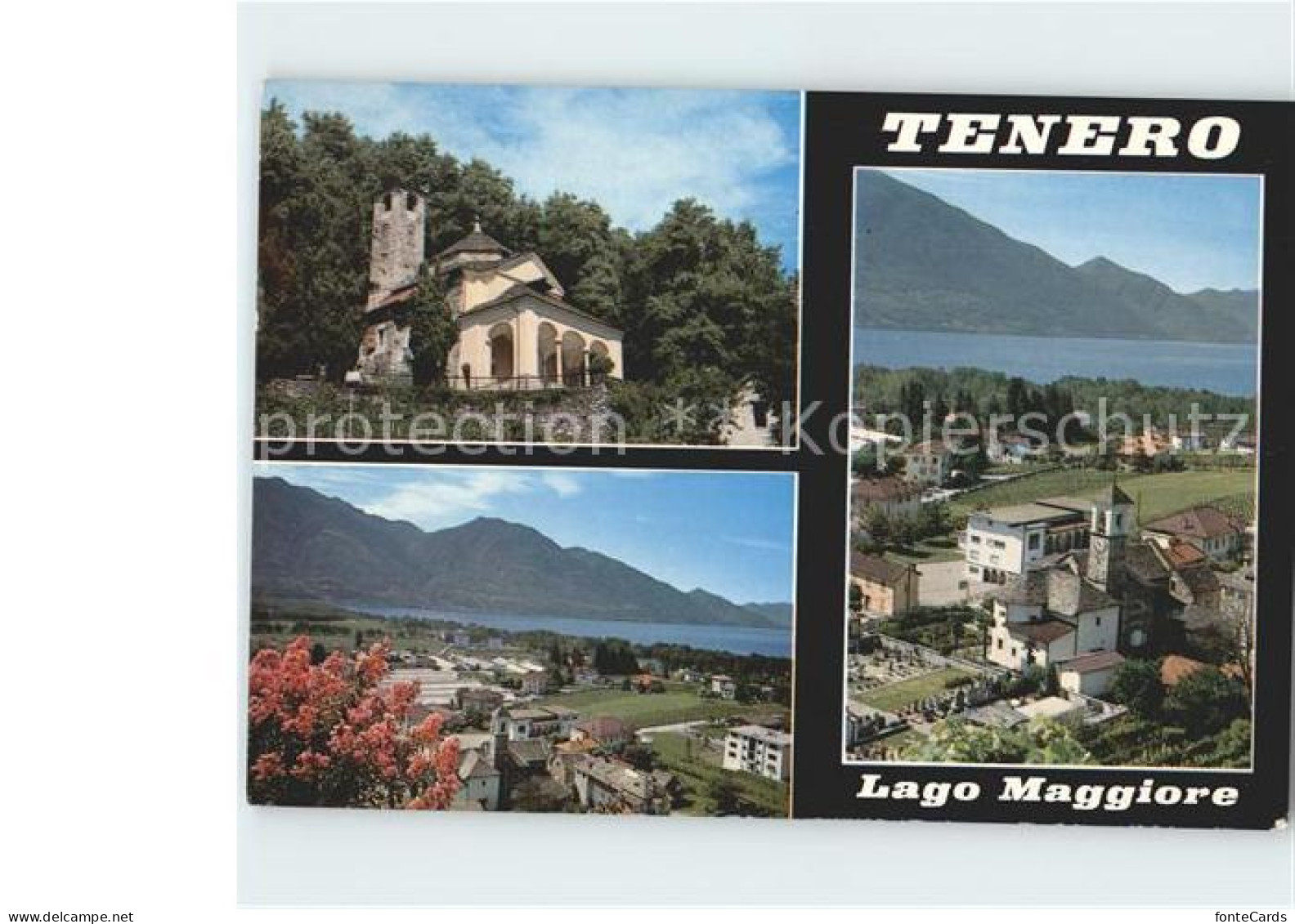 11920348 Tenero Lago Maggiore  Tenero - Autres & Non Classés