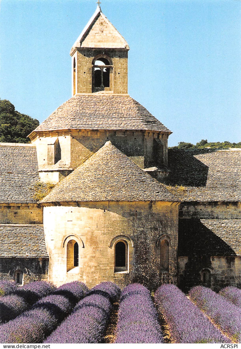 84 GORDES Abbaye De SENANQUE  Lavandes Et Chevet De L'église Abbatiale  N° 6 \MK3014 - Gordes