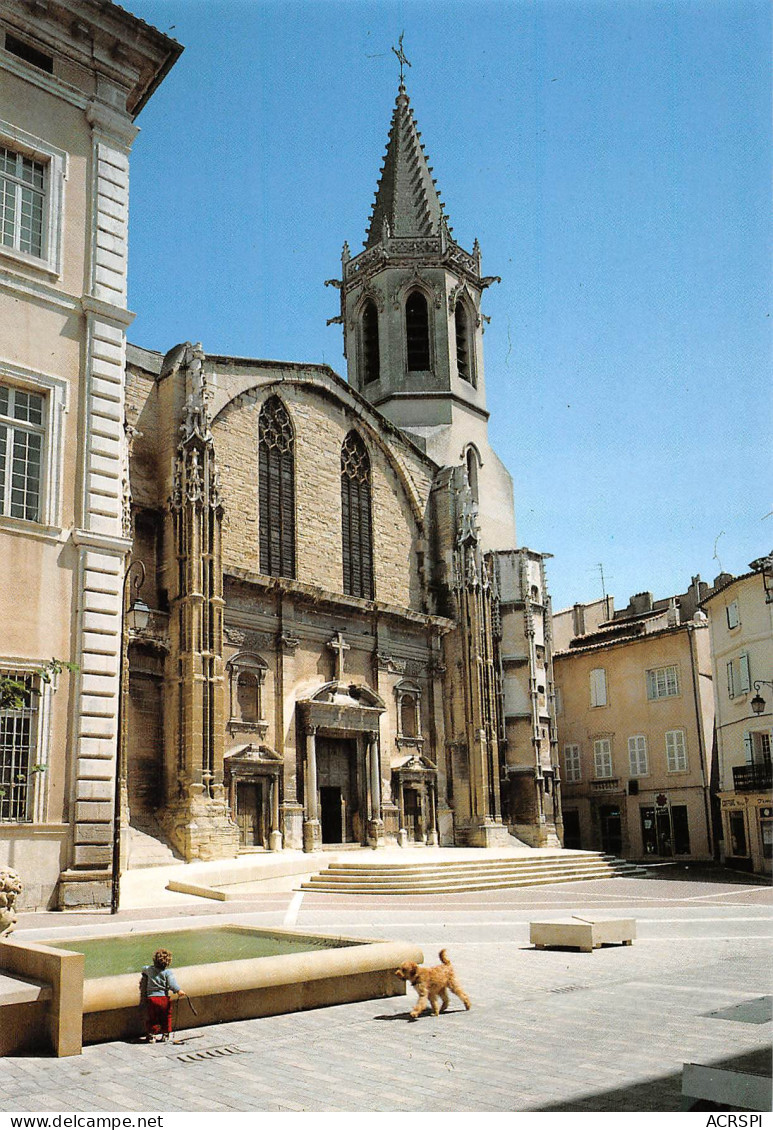 84 CARPENTRAS La Cathédrale Saint Siffrein Place Du Palais édition G.A.L   N° 11 \MK3016 - Carpentras