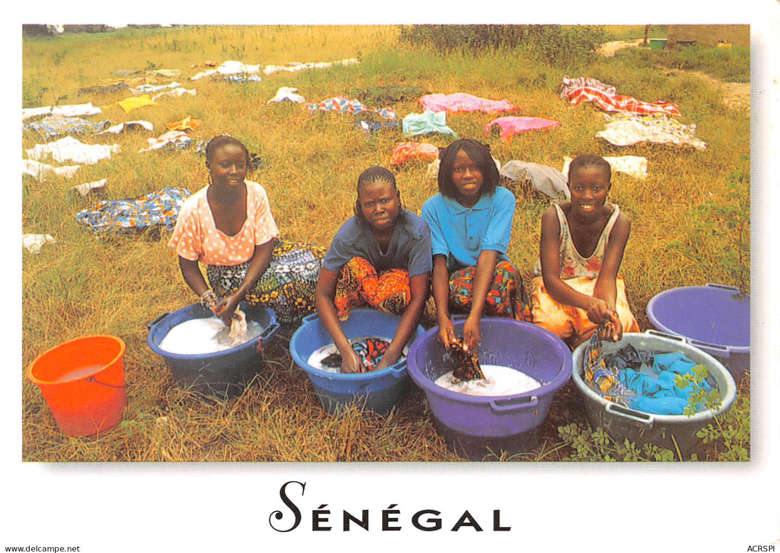 SENEGAL  Jeunes Lingères   N° 43 \MK3019 - Senegal