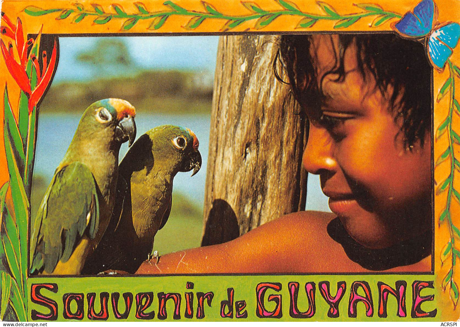 GUYANE Jeune Guyannais Et Pérroquets  N° 66 \MK3019 - Saint Laurent Du Maroni