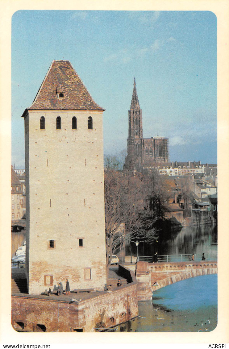 STRASBOURG  Vue De La Terrasse Panoramique   N°124 \MK3021 - Strasbourg