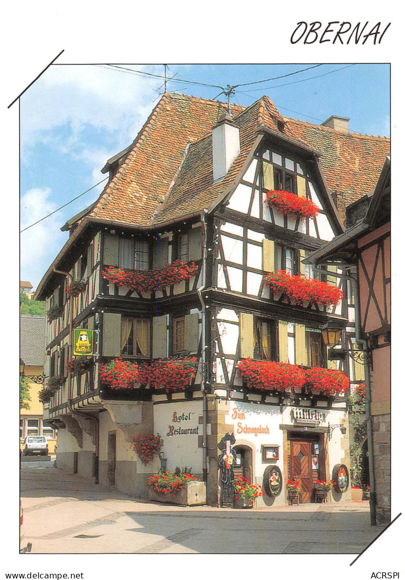 67  OBERNAI  Hotel Restaurant Zum Schnogaloch 18 Place De L'étoile   N° 91 \MK3022 - Obernai