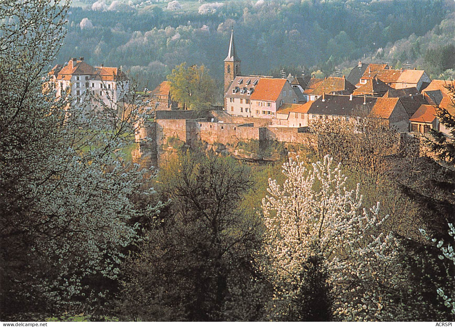 67   LA PETITE PIERRE Vue  Générale  Panoramique  N° 41 \MK3023 - La Petite Pierre