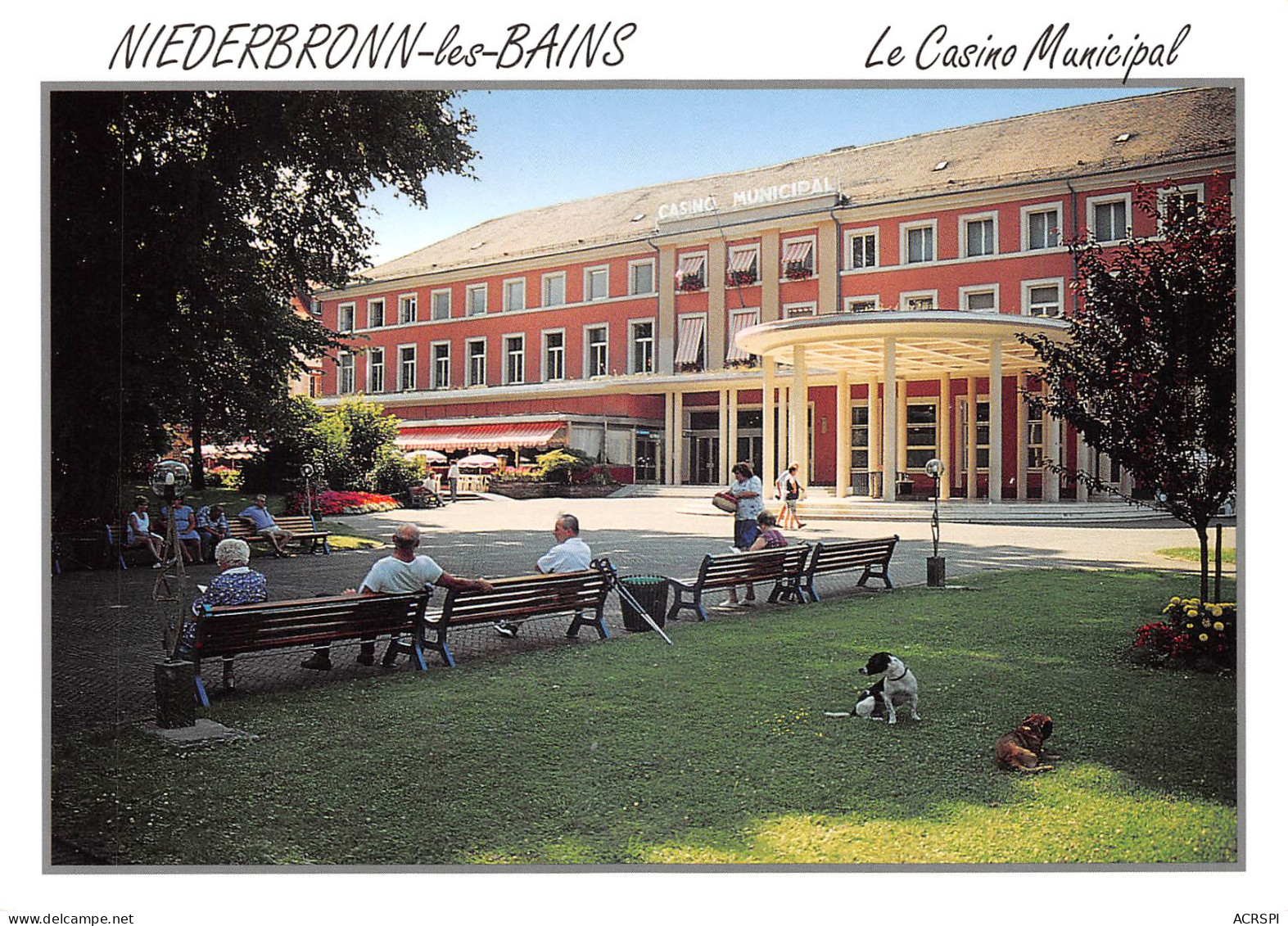 67  Niederbronn-les-Bains  Le Casino Municipal  N° 44 \MK3023 - Niederbronn Les Bains