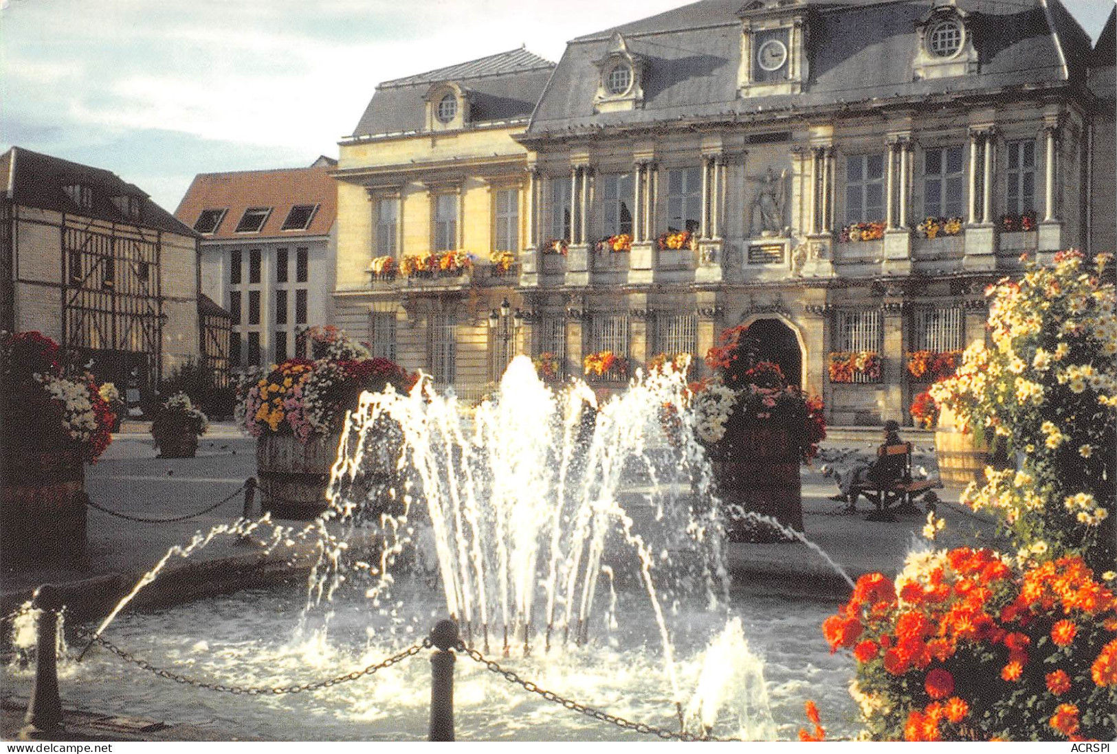 10 TROYES  Chrysanthèmes Au Forum De L'hotel De Ville Par Charles BALTET  N° 111 \MK3023 - Troyes