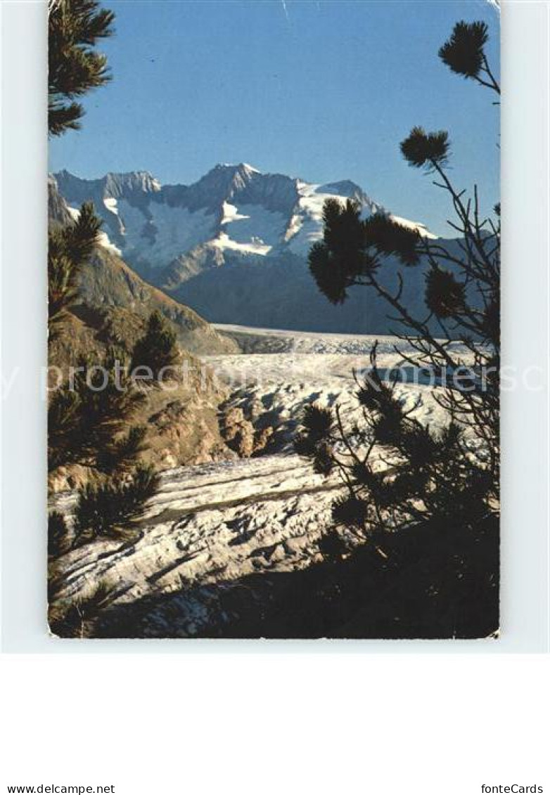 11918790 Aletschgletscher Schoenbuehlhorn Wannenhorn Aletschgletscher - Otros & Sin Clasificación