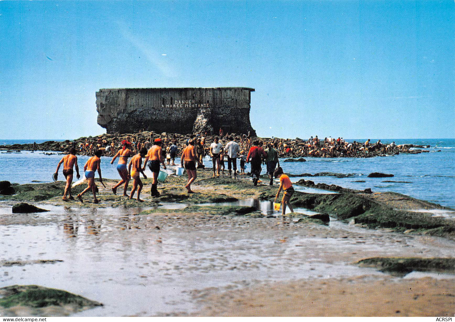 62  LE PORTEL PLAGE  Cueillette Des Moules Autour Du Fort De L'Heurt Construit Par Napoléon   N° 46 \MK3024 - Le Portel