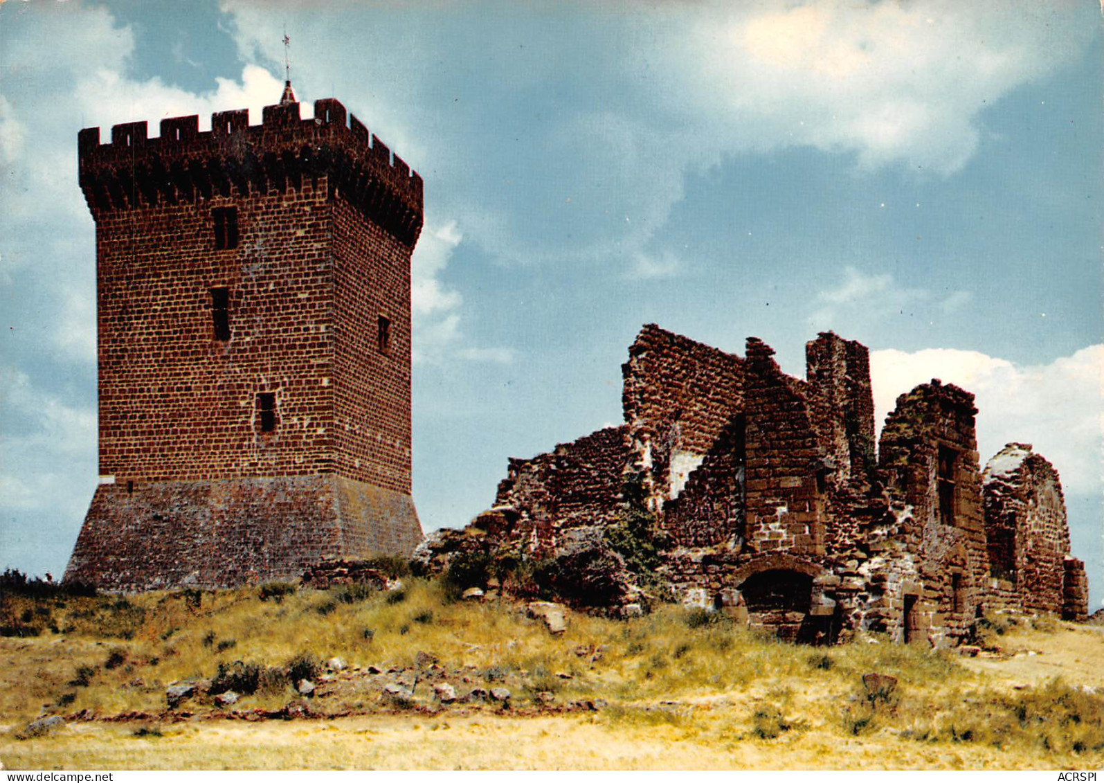 43  POLIGNAC  Le Chateau Ruines Près Du Puy En Velay   N° 17 \MK3025 - Le Puy En Velay