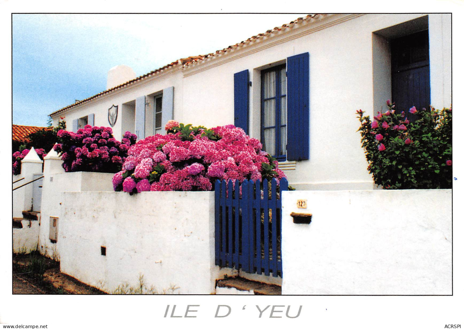 85  Île D'Yeu  Au Numéro 127 La Maison Fleurie  N° 105  \MK3027 - Ile D'Yeu