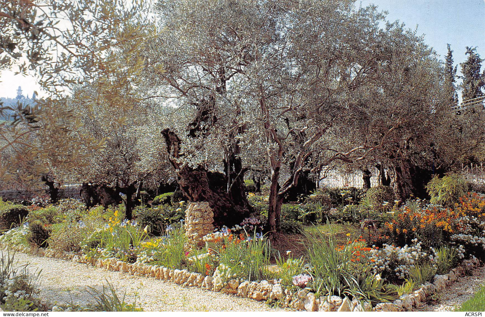  Israël ISRAEL  JERUSALEM Garden Church Of Nations  N°42 \ MK3030  ירושלי�?. ישר�?ל - Israel