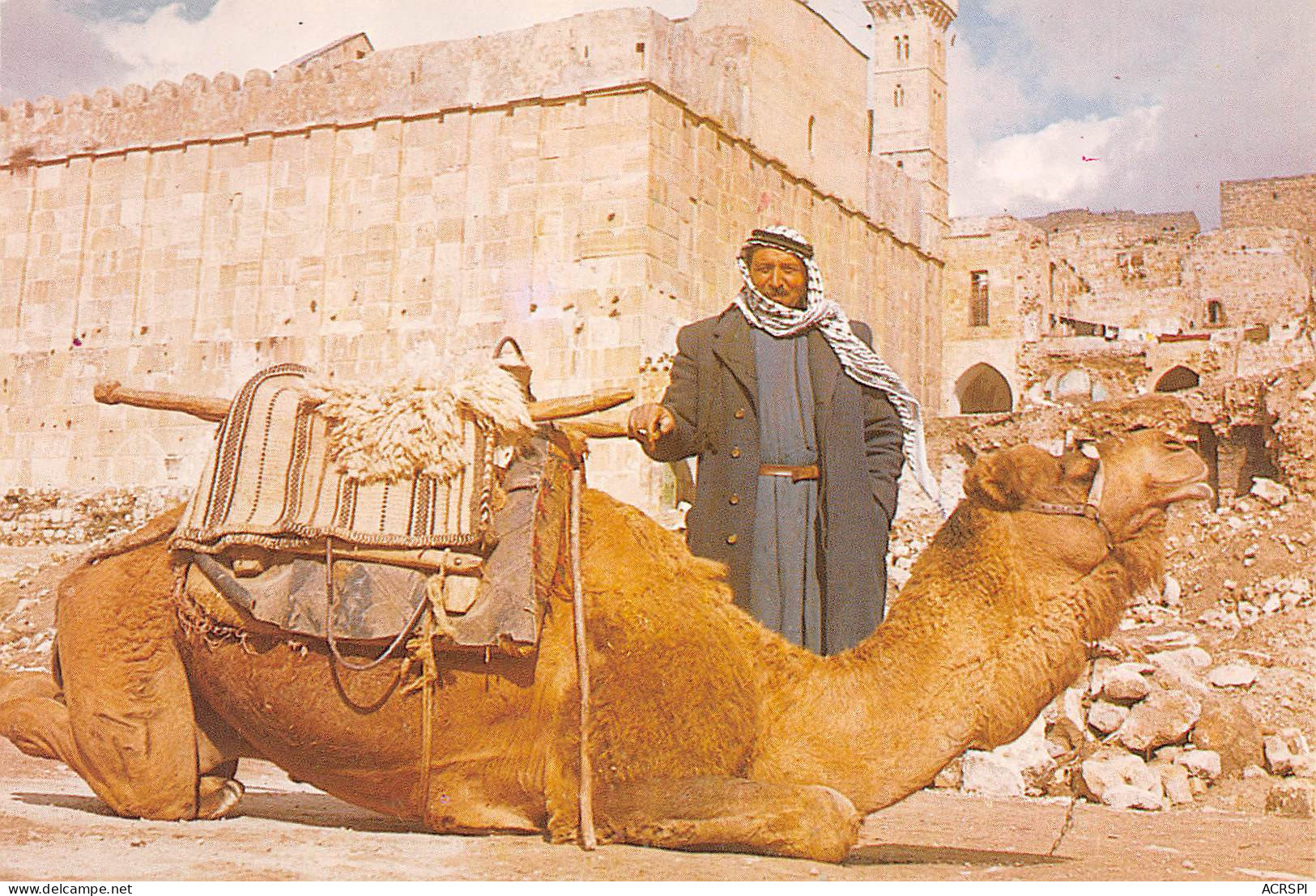  Israël ISRAEL  HEBRON Un Chamelier Chameau Camel  N°60 \ MK3030  ישר�?ל חברון - Israel