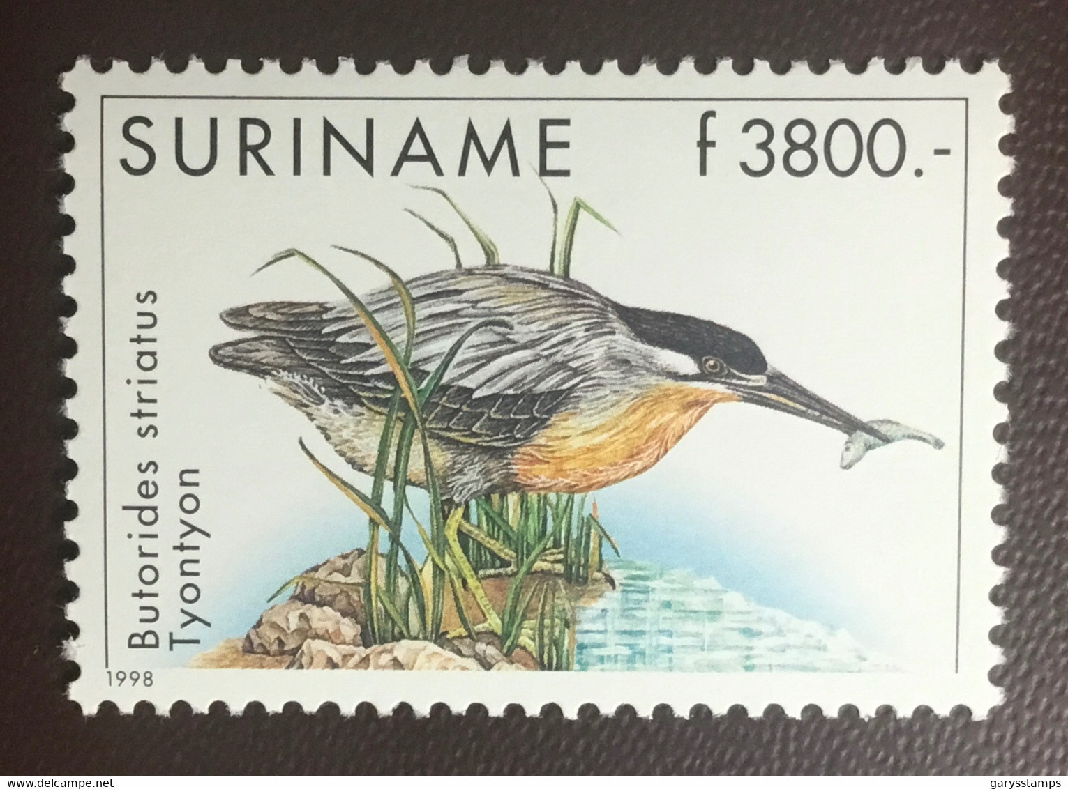 Suriname Surinam 1998 Heron Birds MNH - Altri & Non Classificati