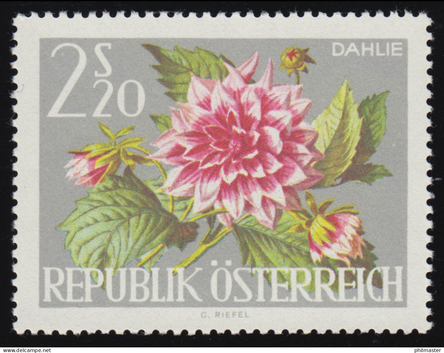 1148 Int. Gartenschau WIG '64, Dahlie,  2.20 S, Postfrisch, ** - Unused Stamps