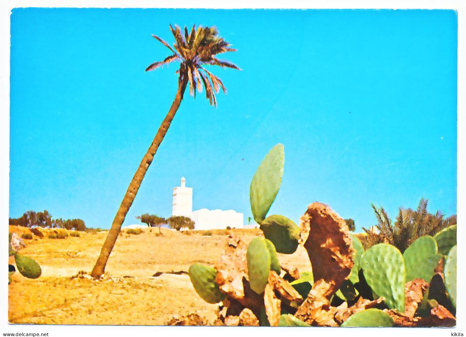 CPSM 10.5 X 15  Tunisie DJERBA  Une Mosquée  Palmier Cactus - Tunisia