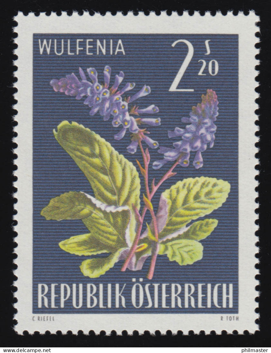 1211 Alpenflora, Kärntner Wulfenie (Wulfenia Carinthiaca) 2.20 S, Postfrisch  ** - Ungebraucht