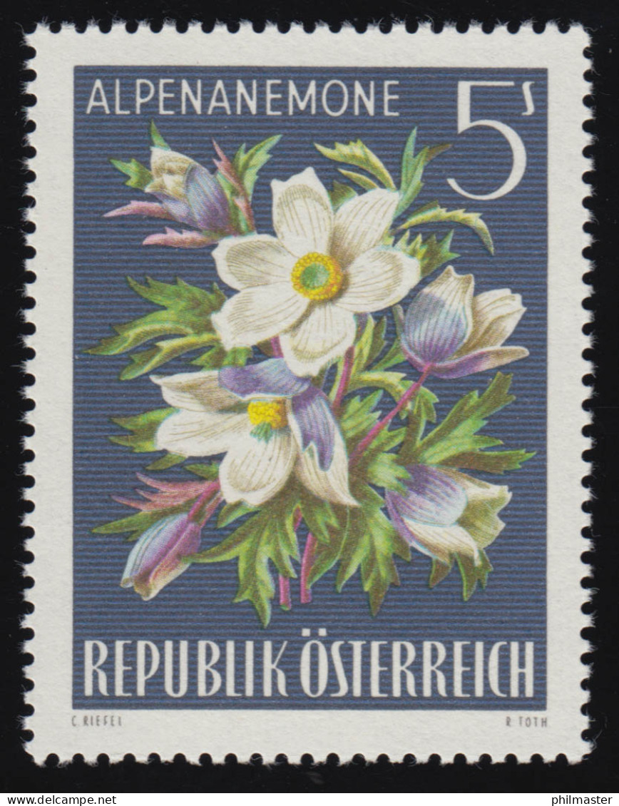 1214 Alpenflora, Alpenanemone (Pusatilla Alpina), 5 S, Postfrisch  ** - Nuevos