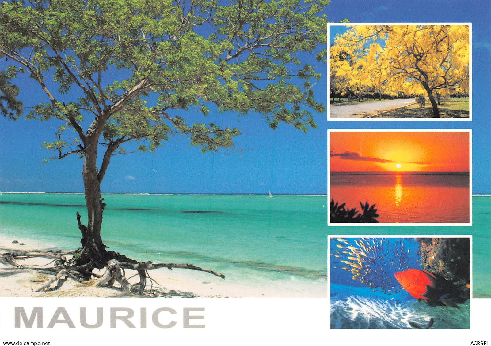ILE MAURICE MAURITIUS Multivue  N° 15 \MK3033 - Mauritius