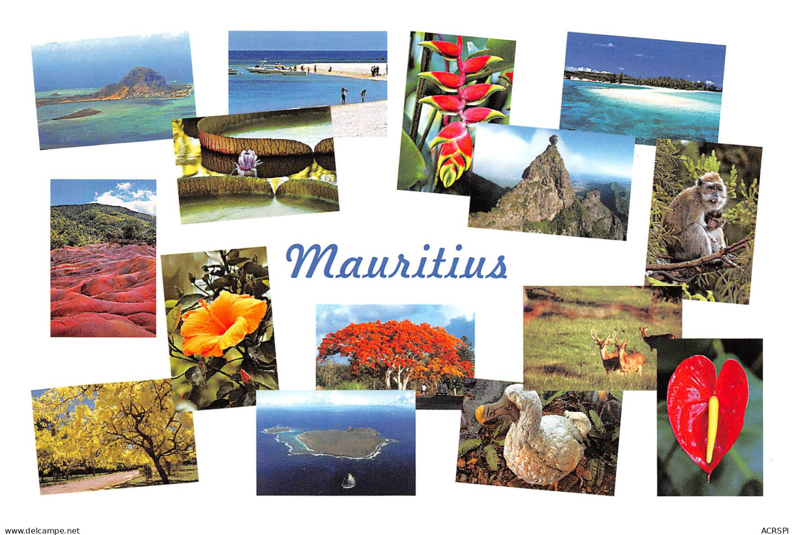 ILE MAURICE MAURITIUS Divers Vues N° 17 \MK3033 - Maurice