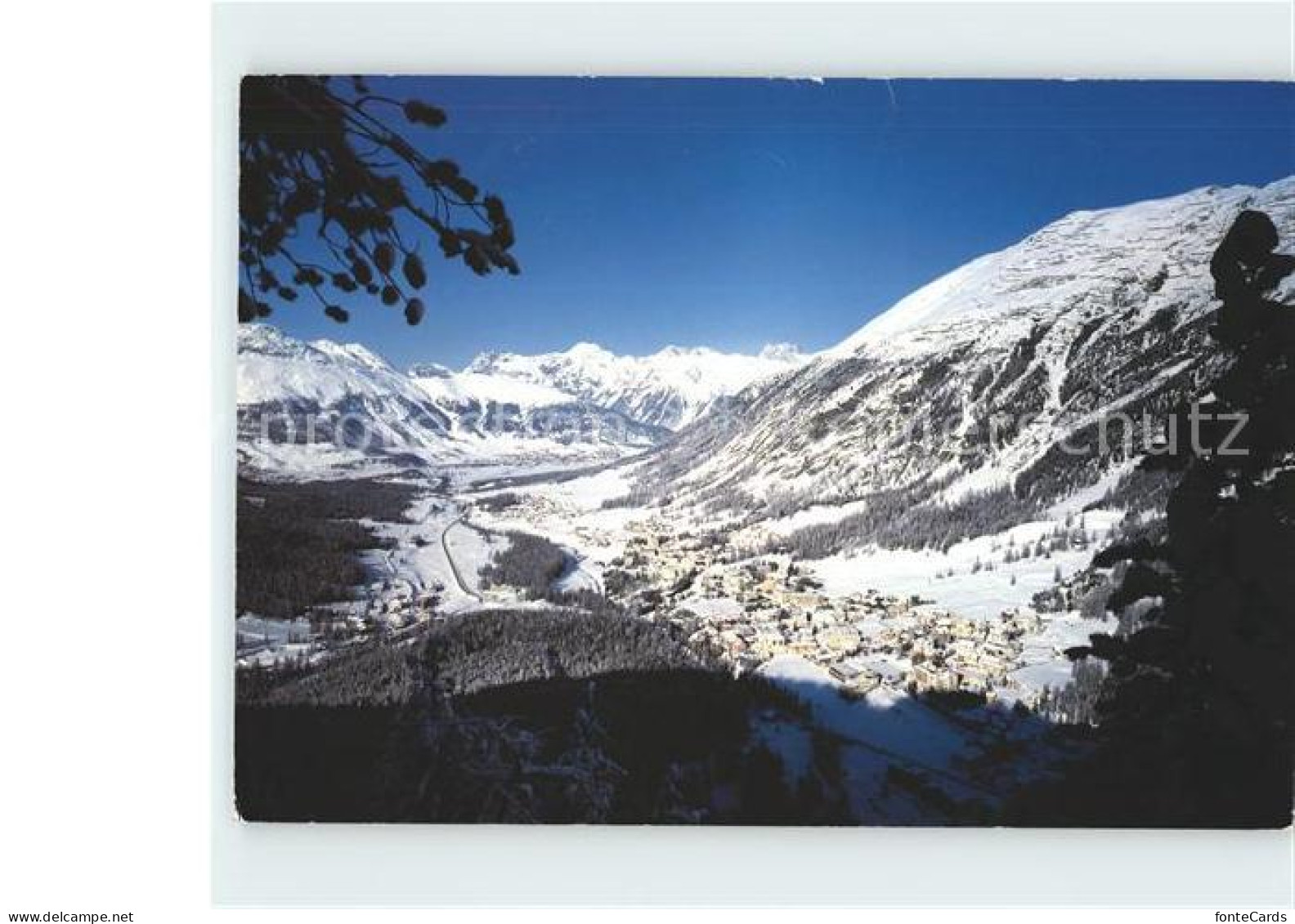 11915944 Pontresina  Pontresina - Other & Unclassified